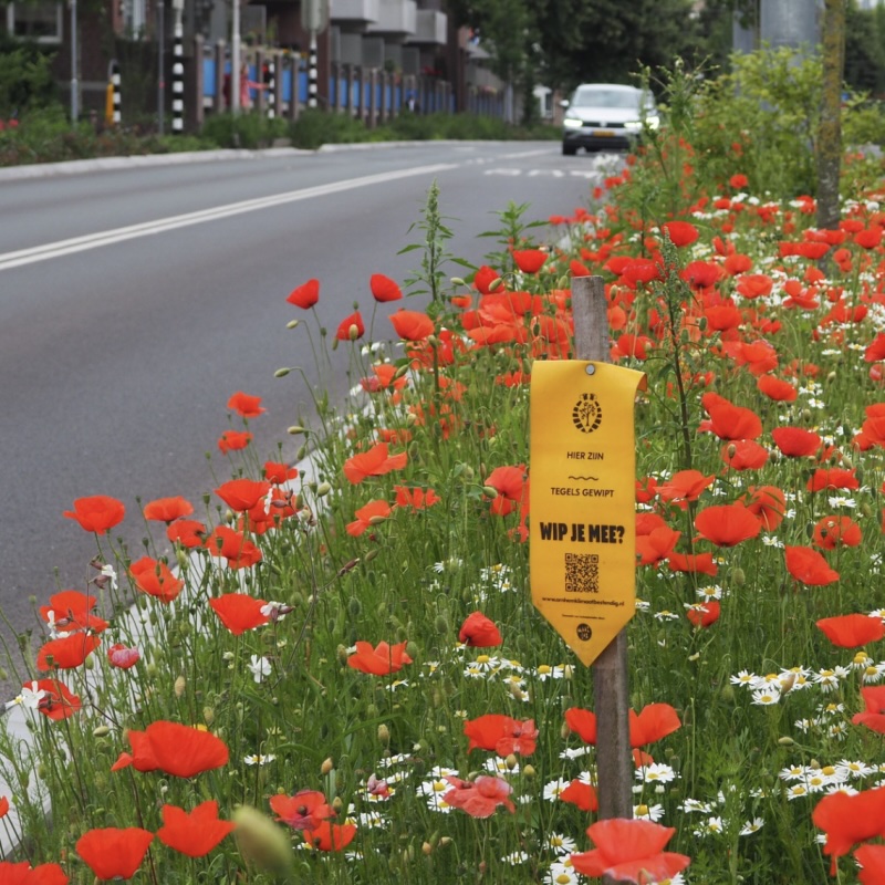 Symposium: Arnhem – van groen naar groener